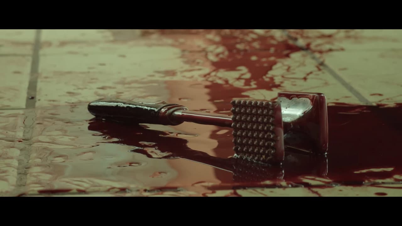 Backdrop – Rojo Guajillo