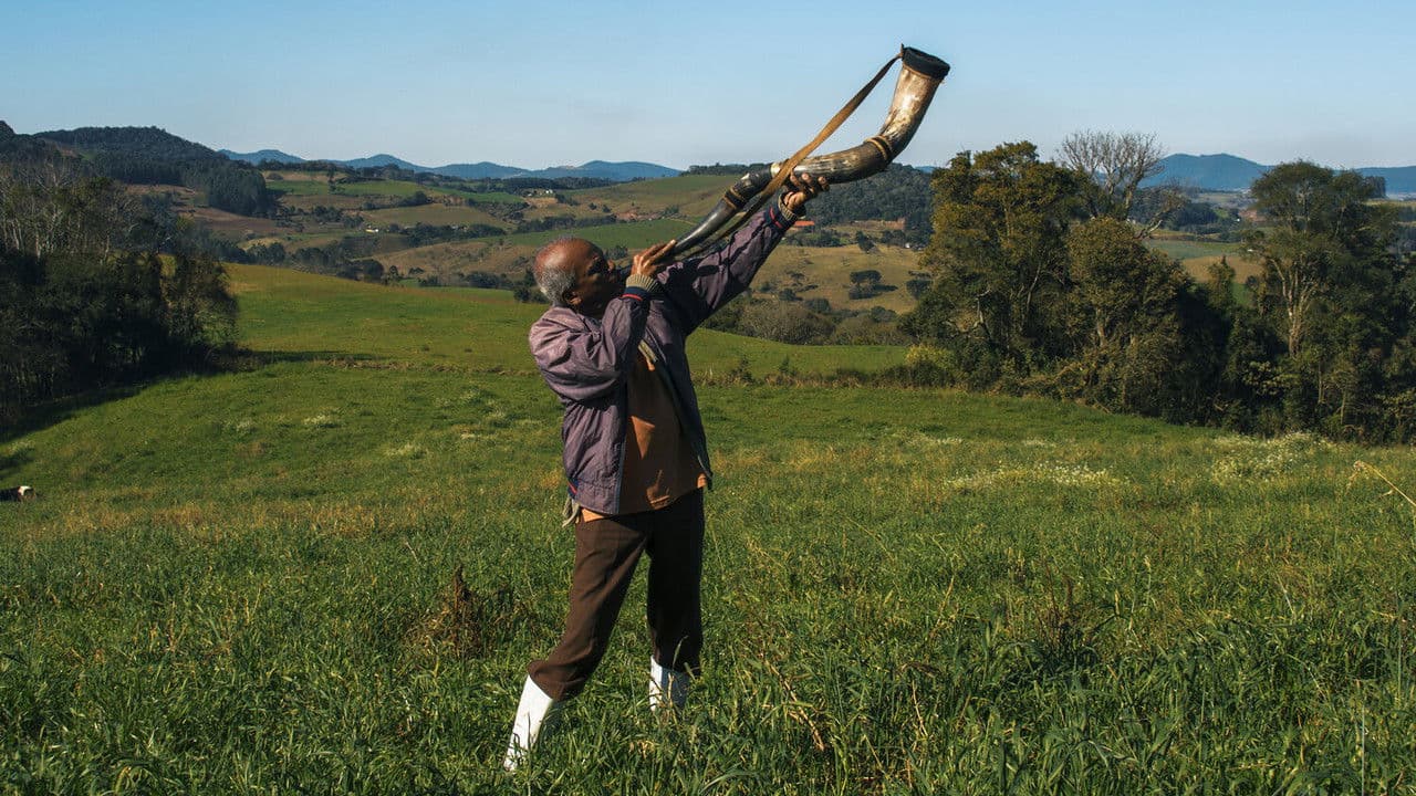 Backdrop – Casa de Antiguidades
