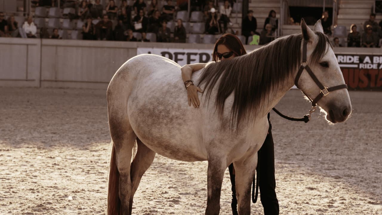 Backdrop – Aus Liebe zum Mustang