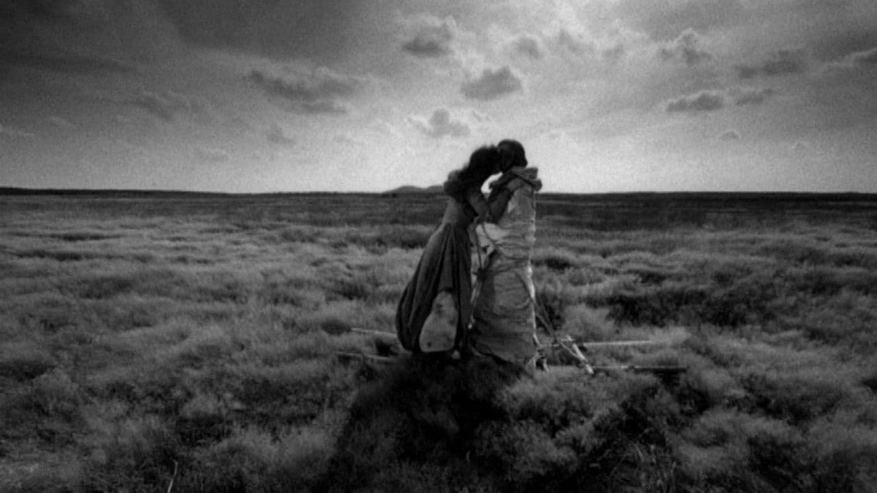 Backdrop – Anchoress