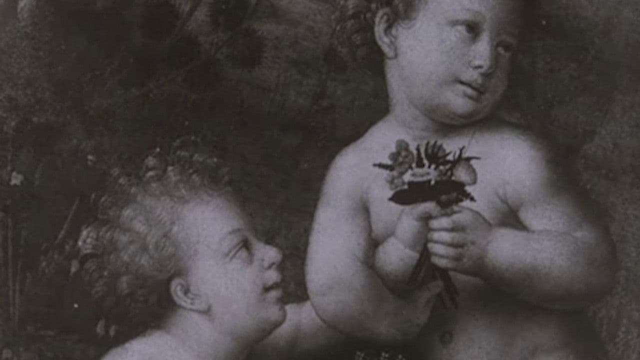 Backdrop – Leonardo Da Vinci The Tragic Pursuit of Perfection