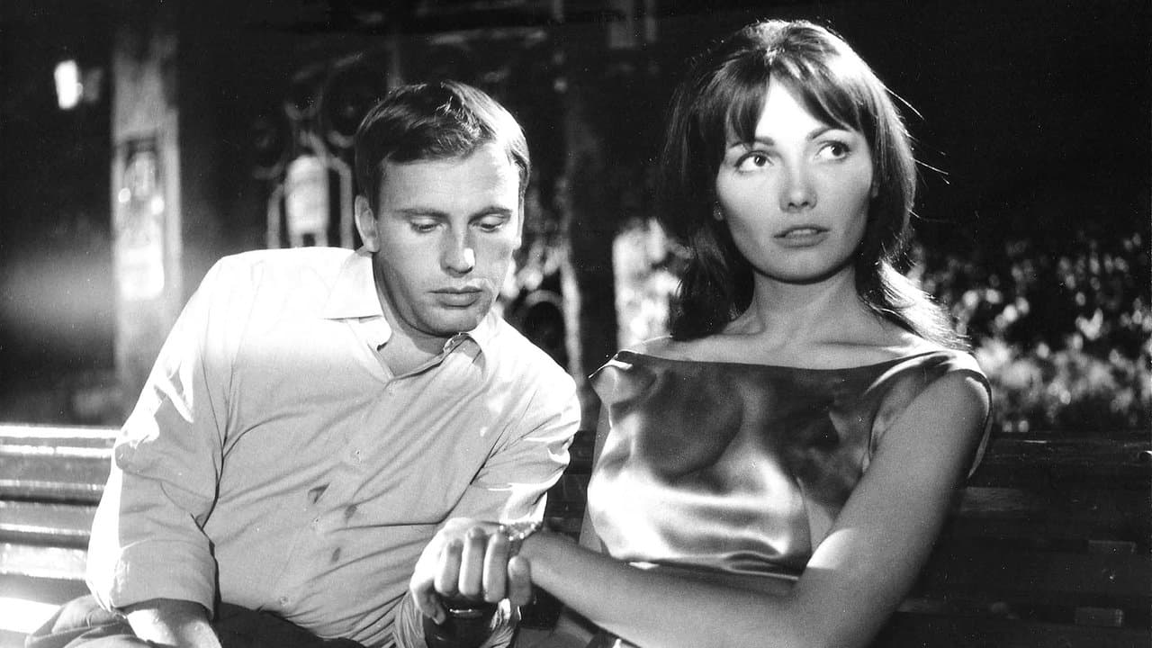 Backdrop – Verliebt in scharfe Kurven