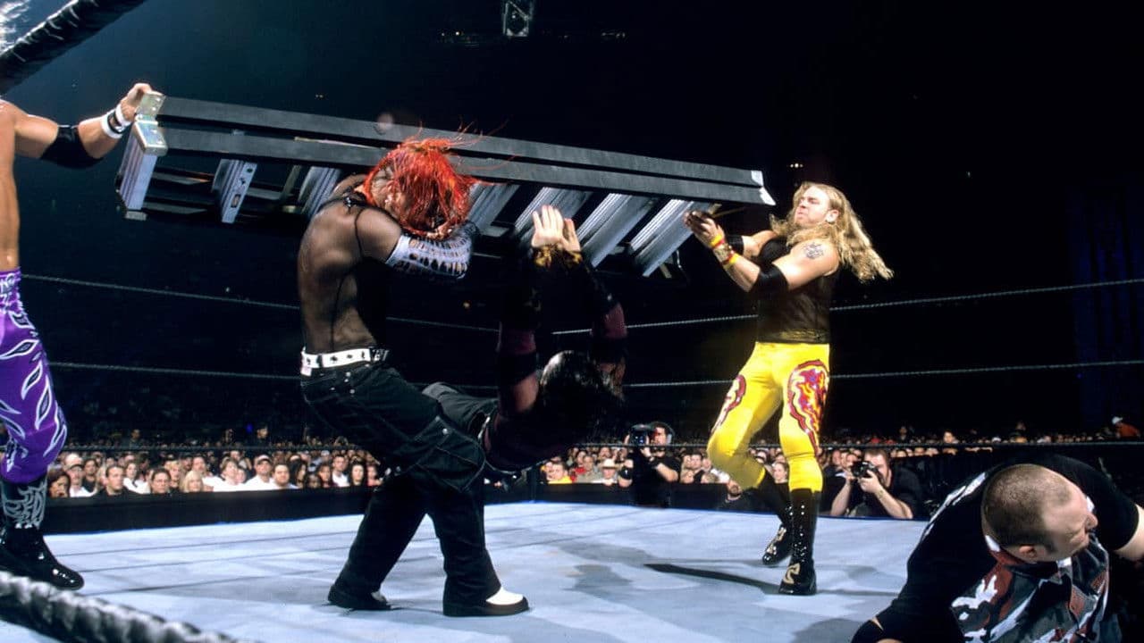 Backdrop – WWF: Hardy Boyz - Leap of Faith