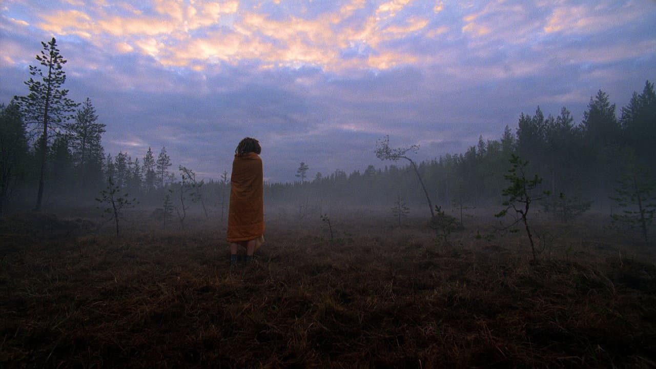 Backdrop – Das Moorland