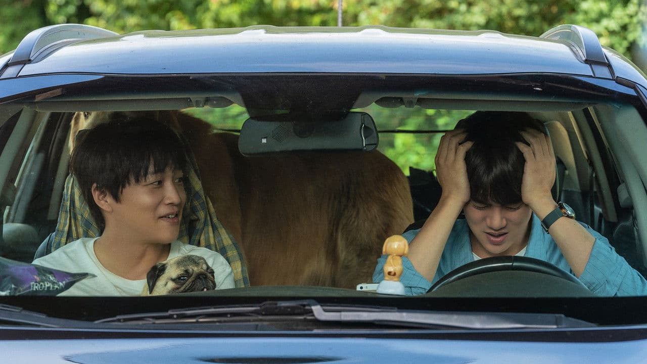 Backdrop – 멍뭉이