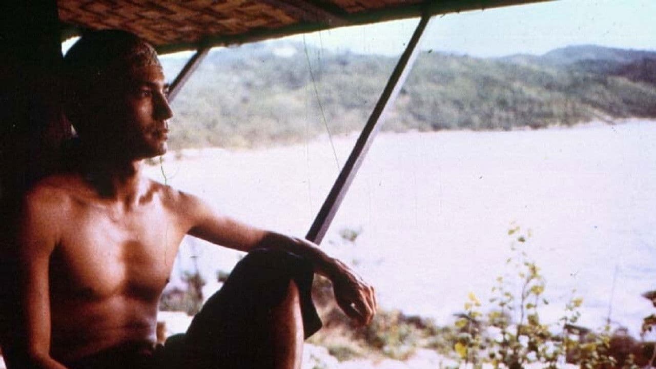 Backdrop – Shadows of the Peacock