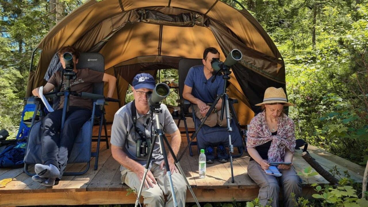 Backdrop – Vogelperspektiven
