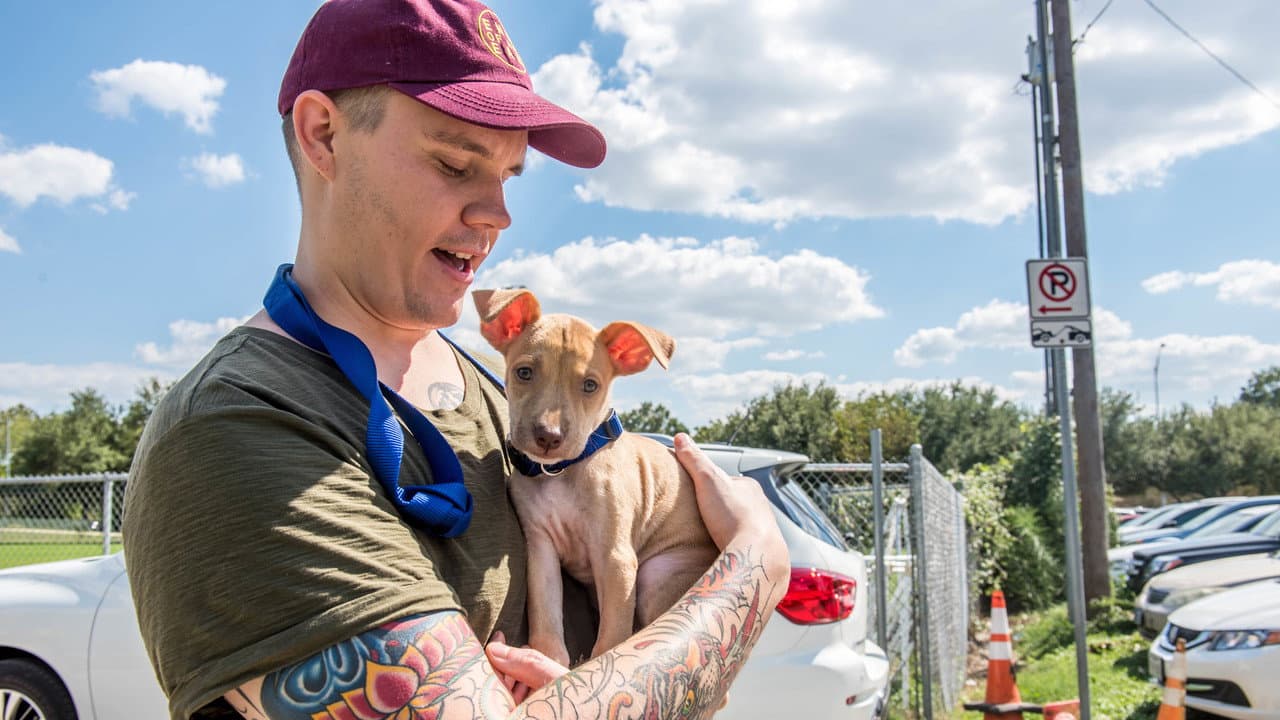 Backdrop – Surviving Harvey: Animals After the Storm