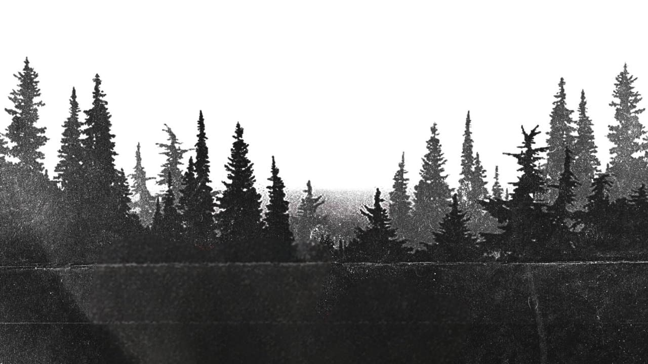 Backdrop – Night Shoot