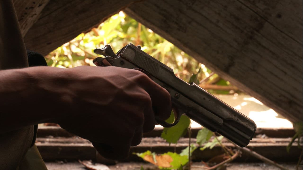 Backdrop – Novembre - Bande Annonce