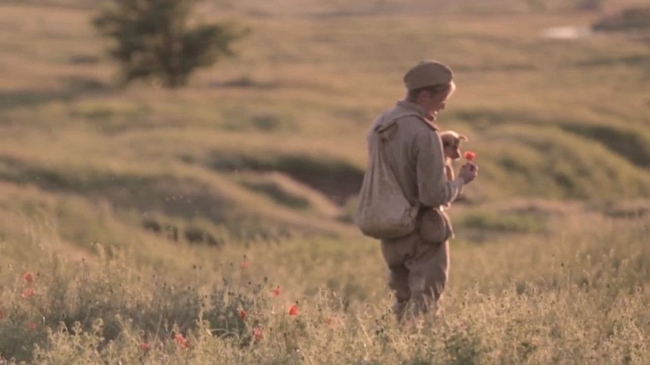 Backdrop – Последствия войны