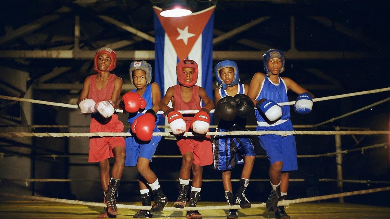 Backdrop – Sons of Cuba