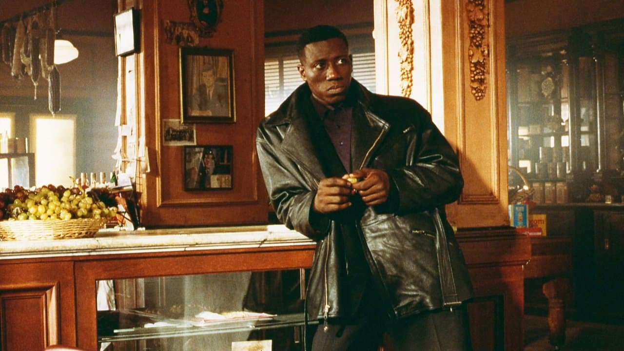 Backdrop – Sugar Hill