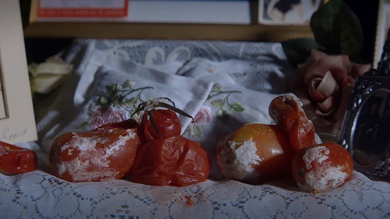 Backdrop – A Tomato Tragedy