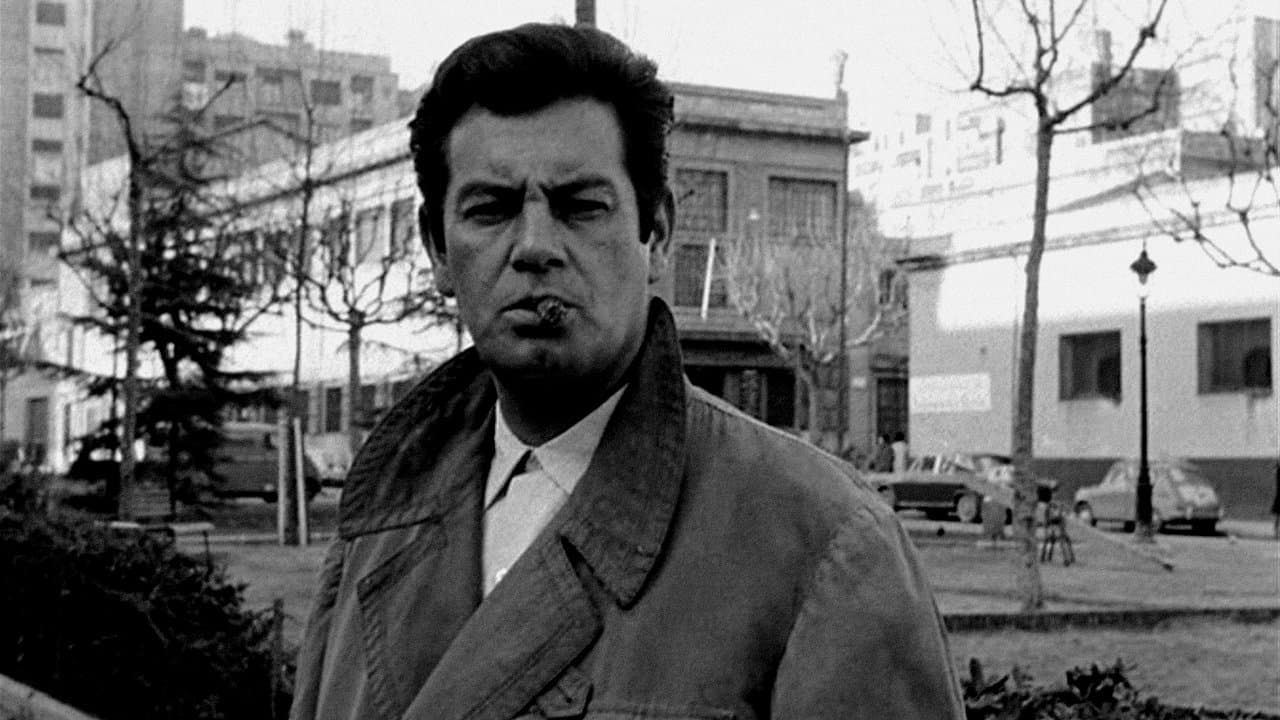 Backdrop – A tiro limpio