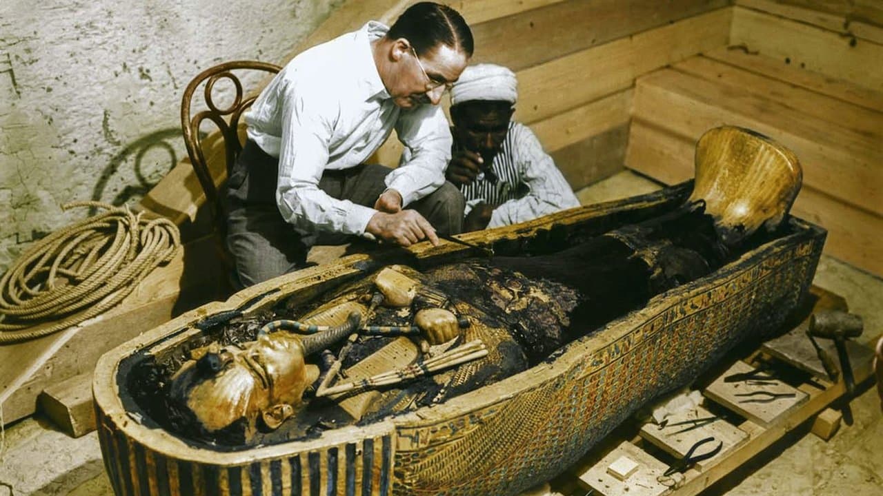 Backdrop – Tutankhamun In Colour