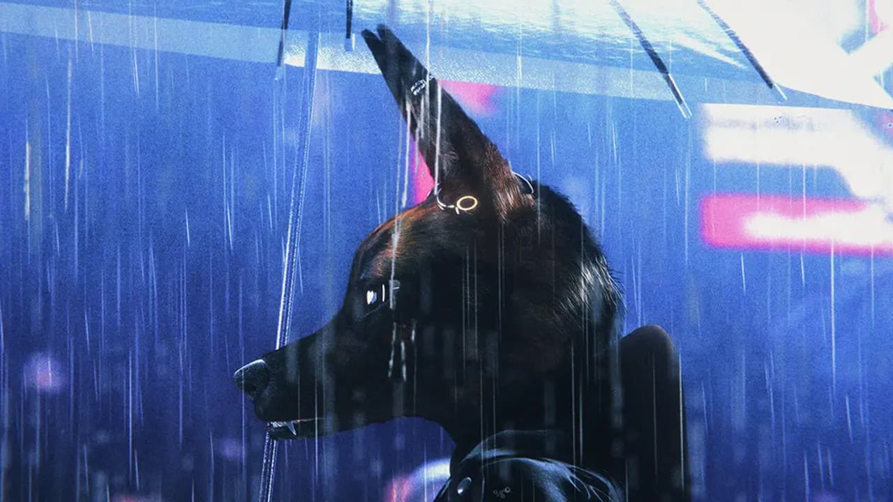 Backdrop – Bouchra