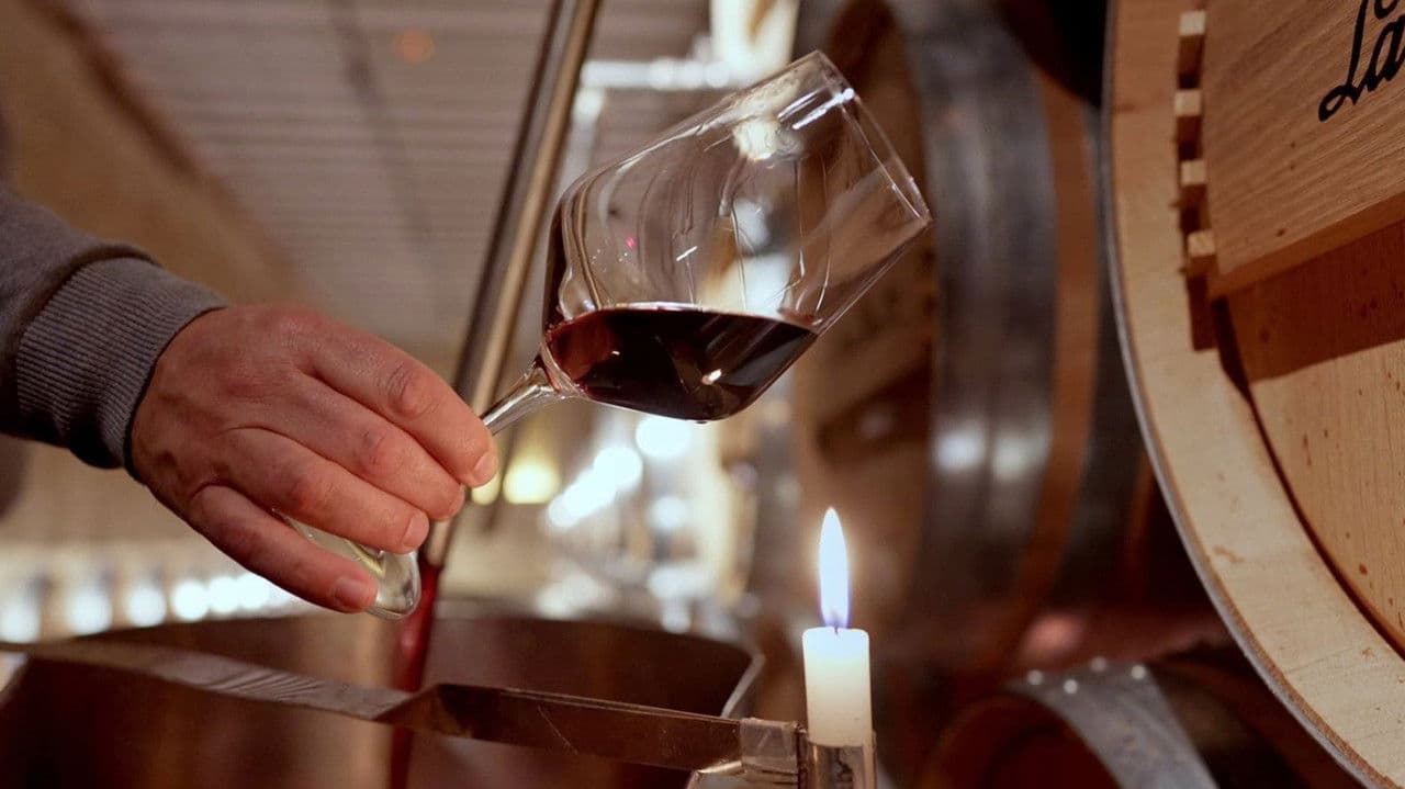 Backdrop – Das Land der tausend Weine