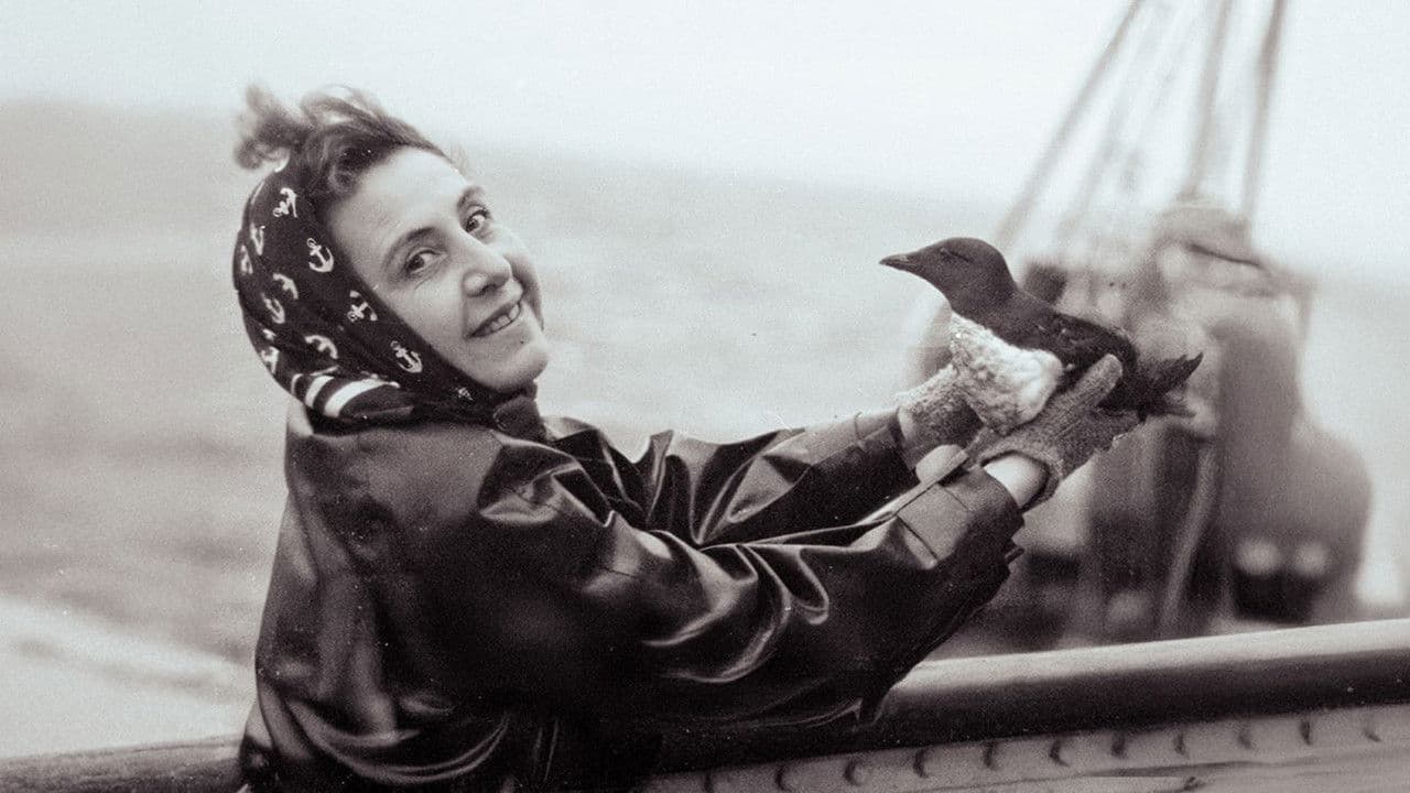 Backdrop – Anita Conti, l'appel du large