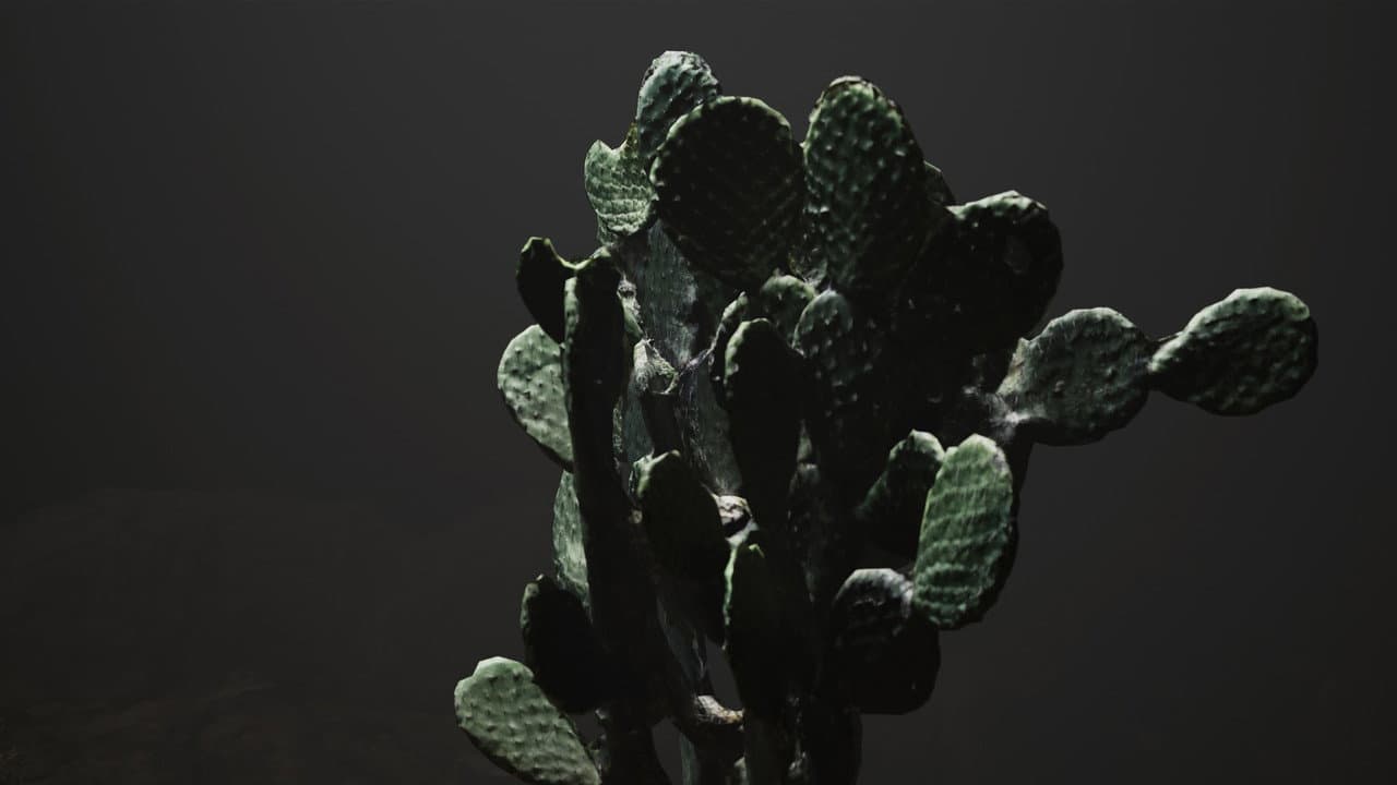 Backdrop – no_mercy_in_mexico