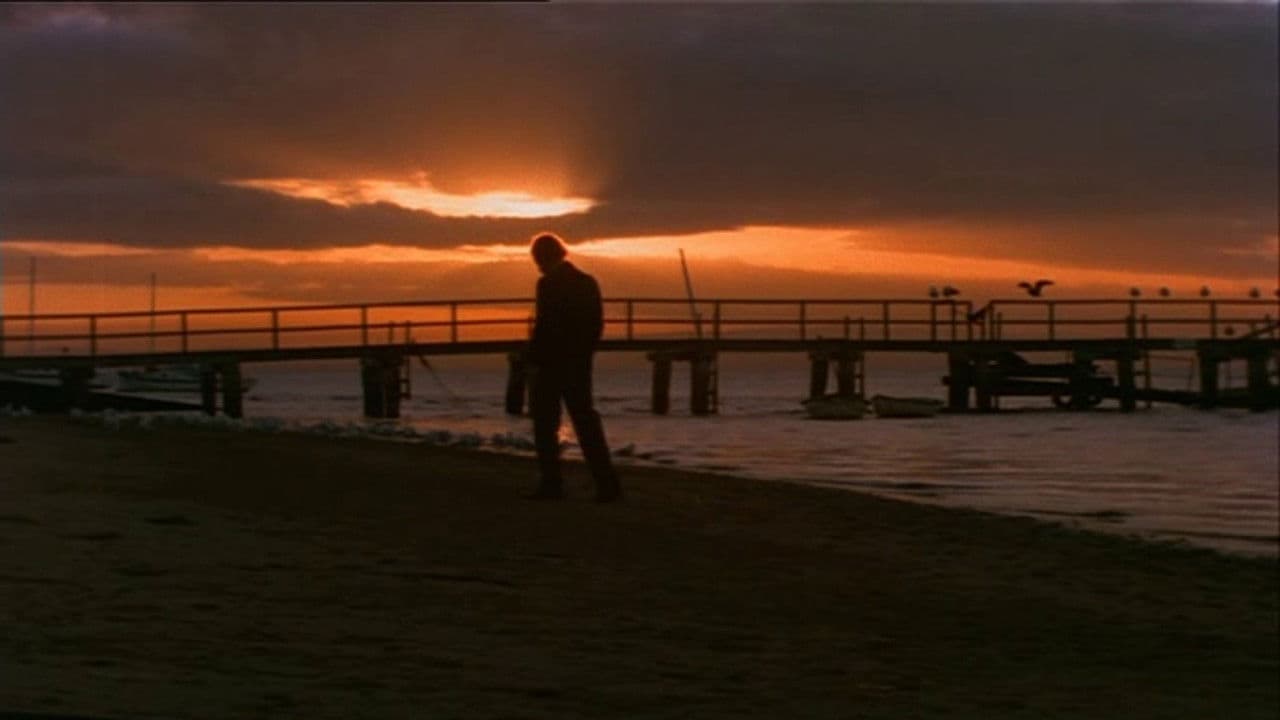 Backdrop – Summerfield