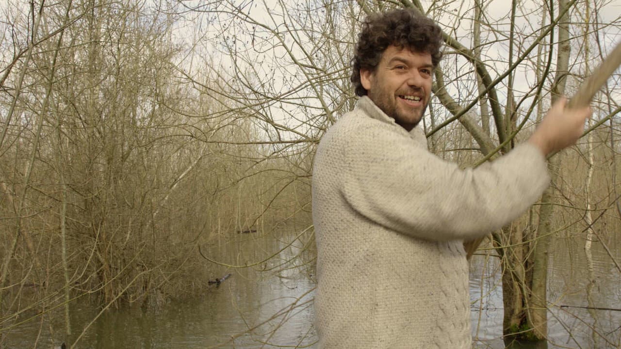 Backdrop – Julien, le marais et la libellule