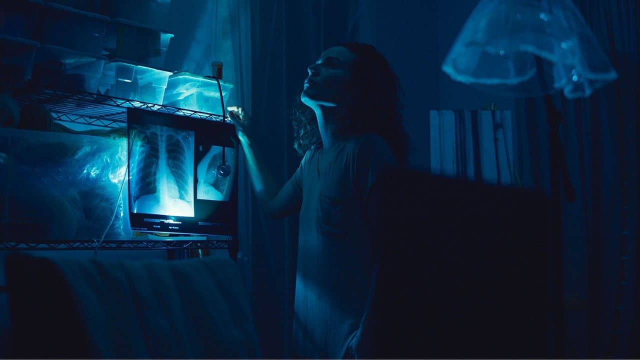 Backdrop – La pecera