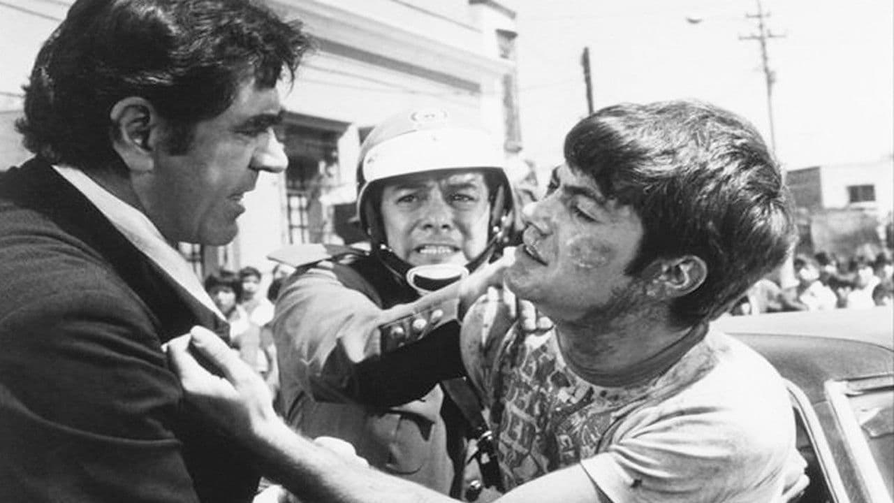 Backdrop – Perro callejero