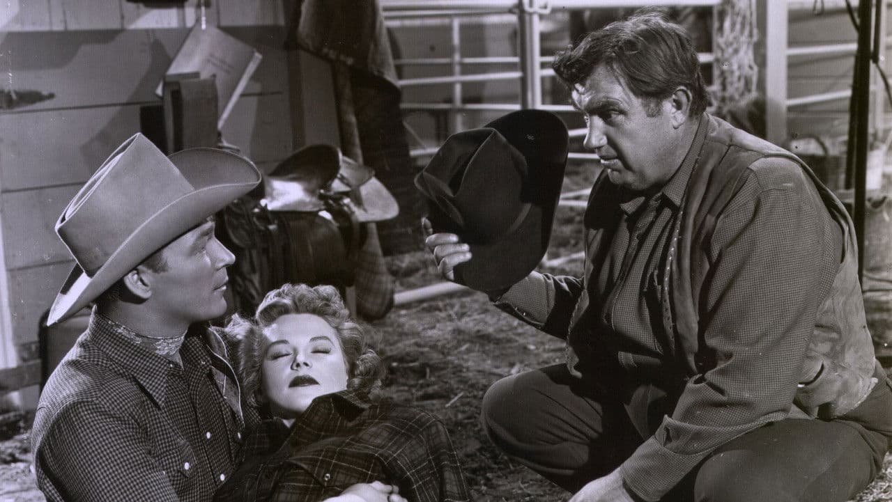 Backdrop – Under California Stars