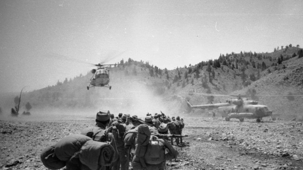 Backdrop – Афганский сонник