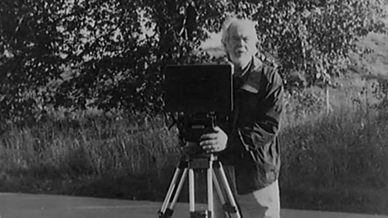 Backdrop – Lumière & Compagnie