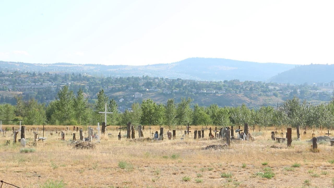 Backdrop – Gentleman Bandit