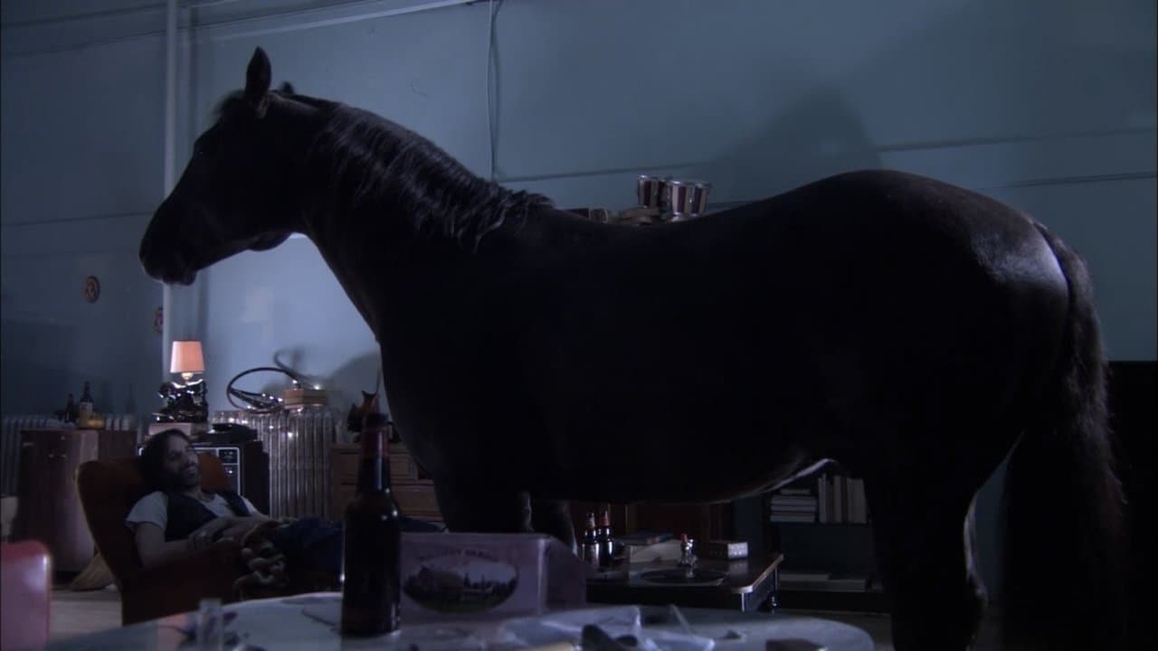 Backdrop – High Life