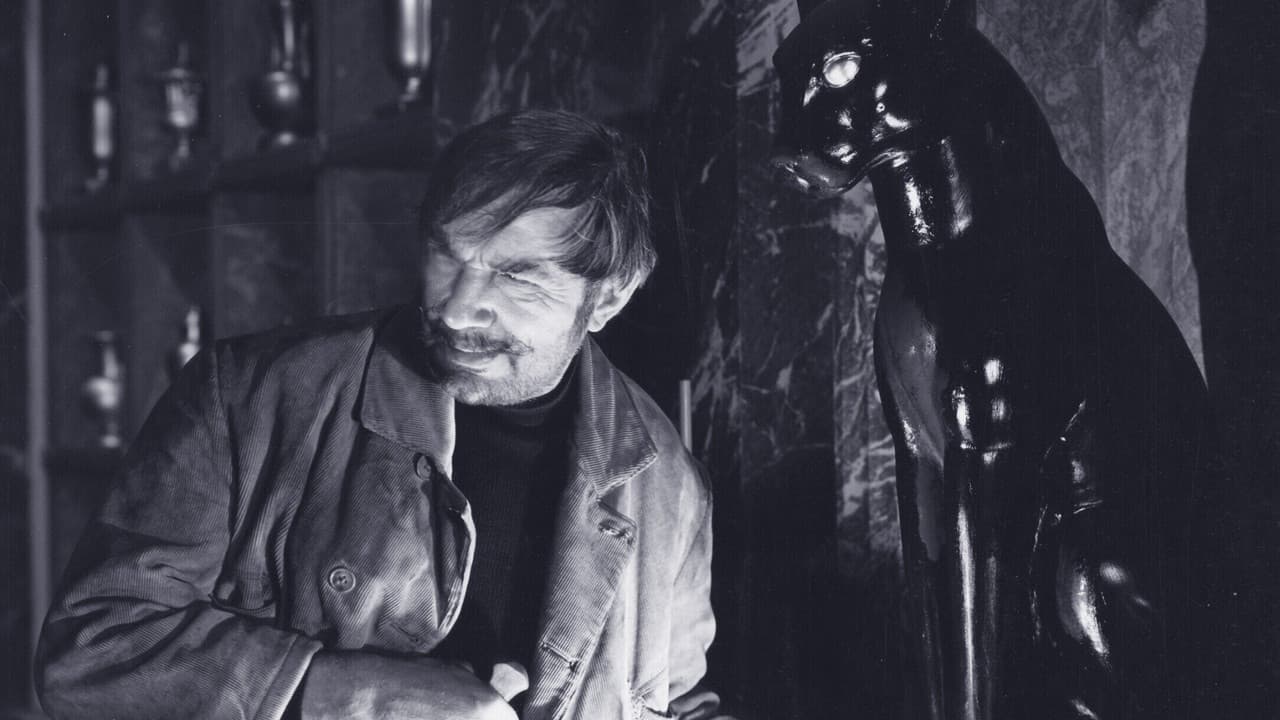 Backdrop – The Black Cat