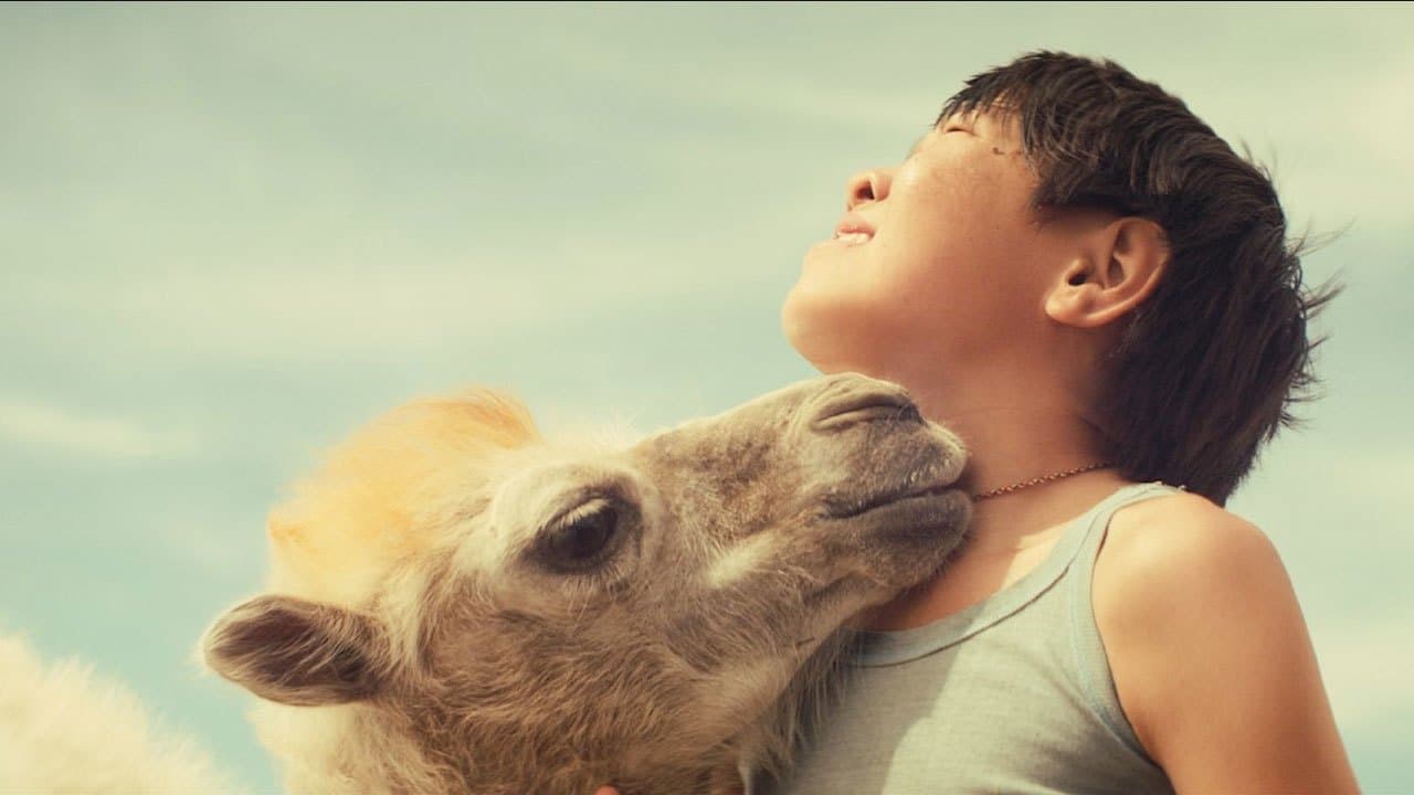 Backdrop – Небесный верблюд