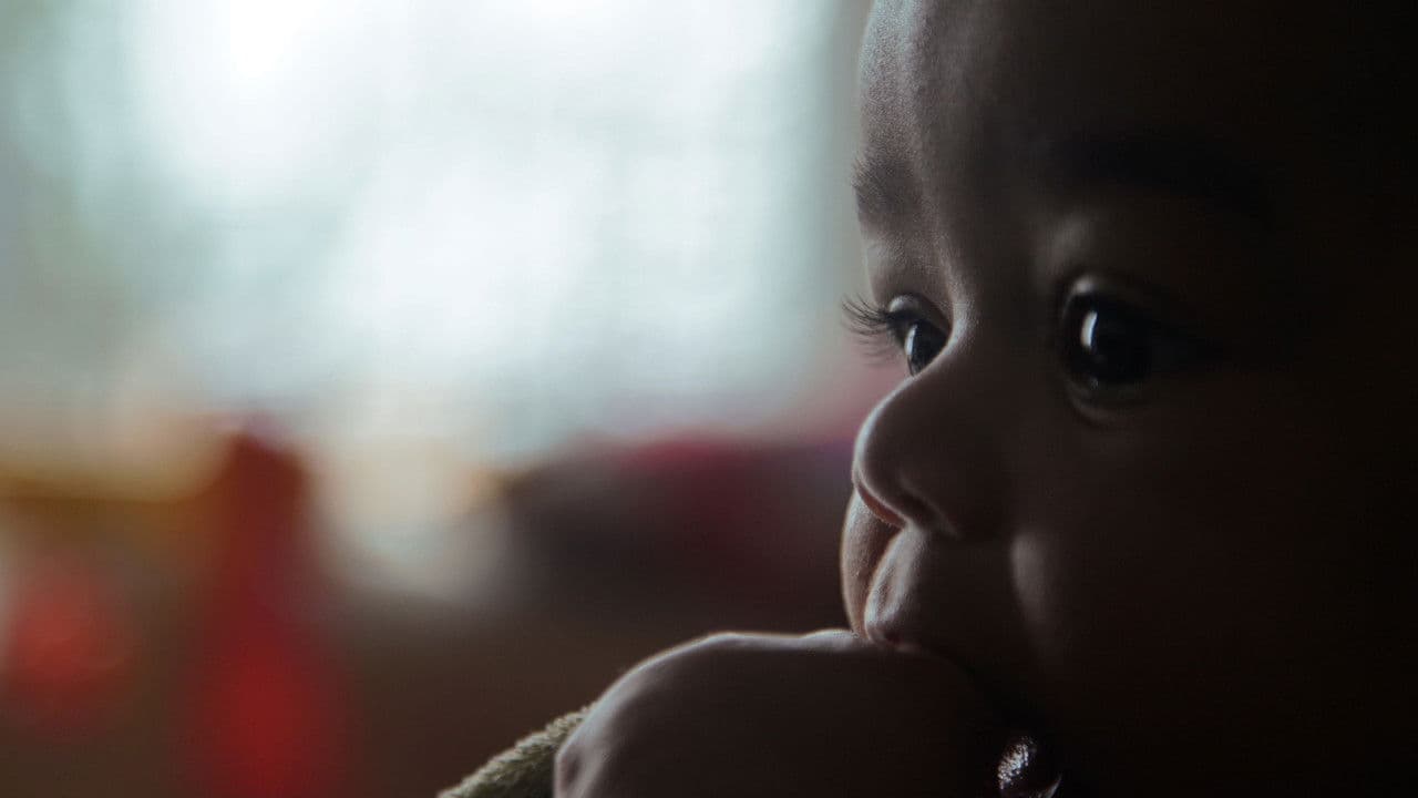 Backdrop – Hoje é o Primeiro Dia do Resto da Sua Vida
