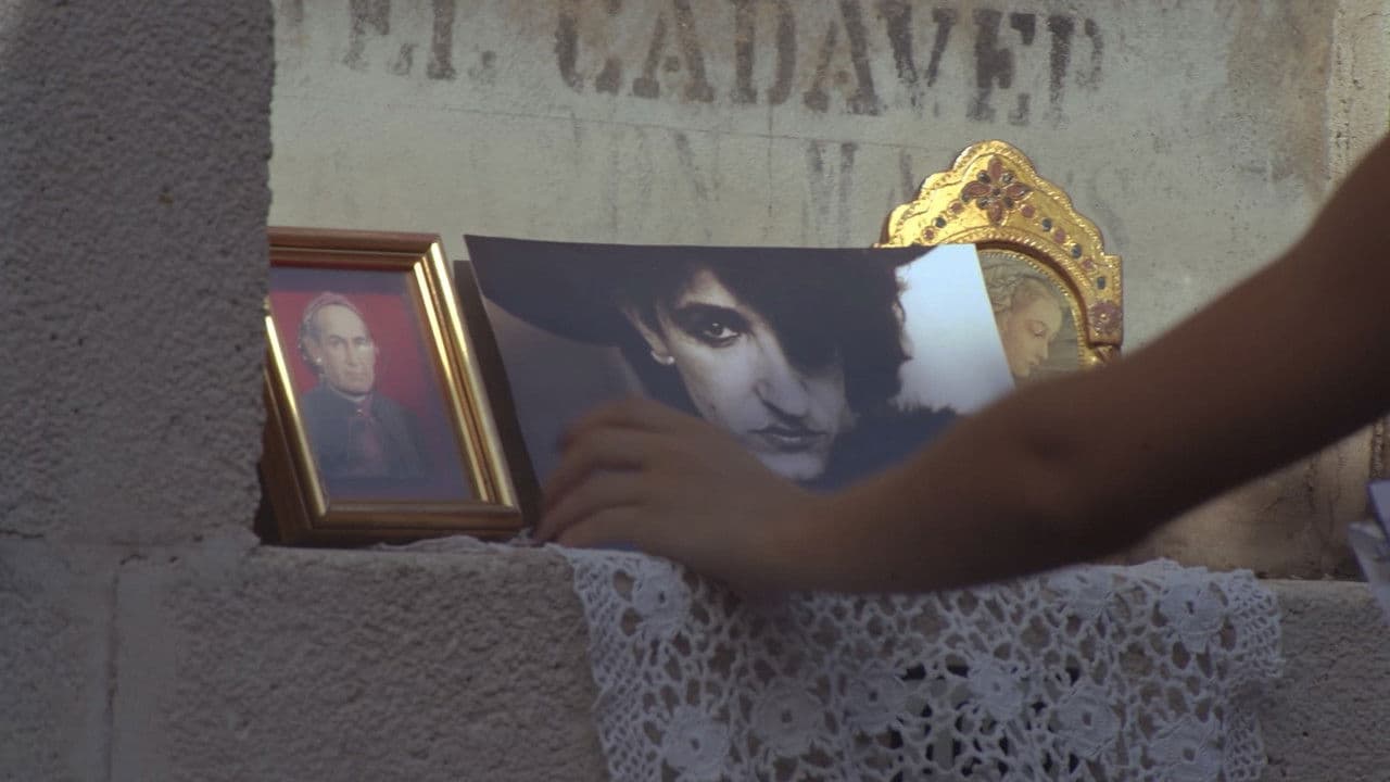 Backdrop – Retrato permanente