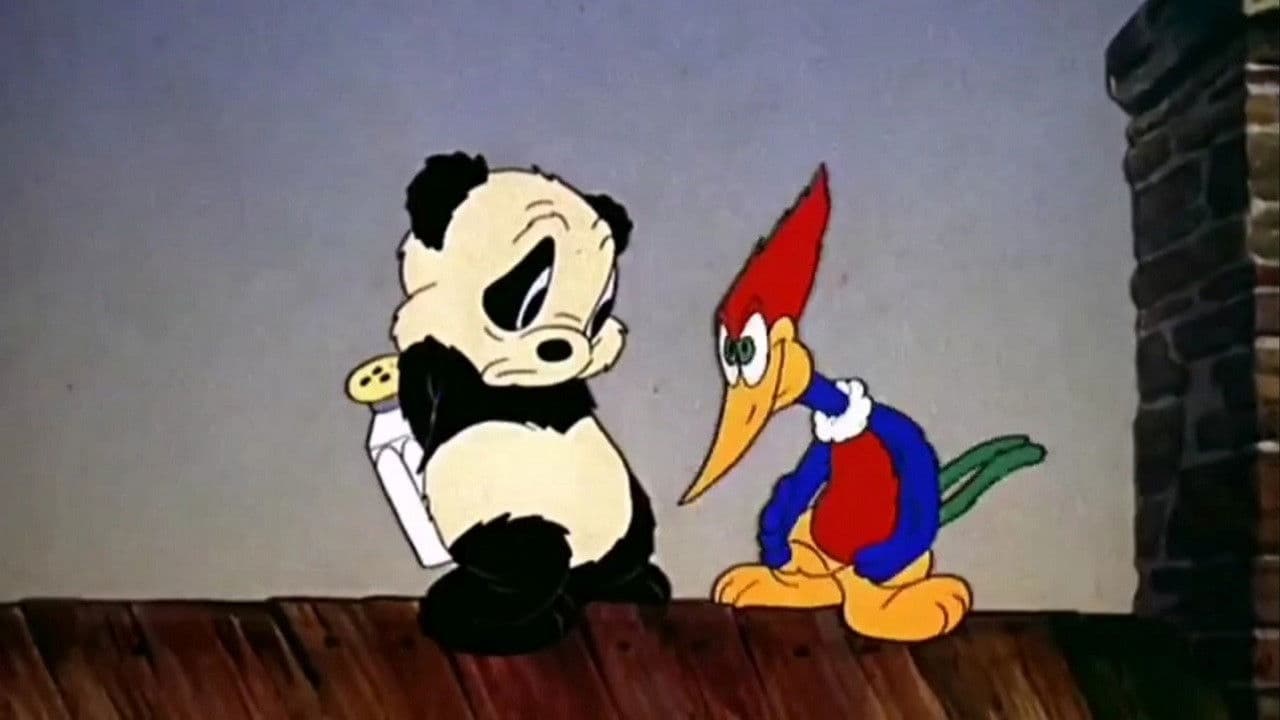 Backdrop – Knock Knock