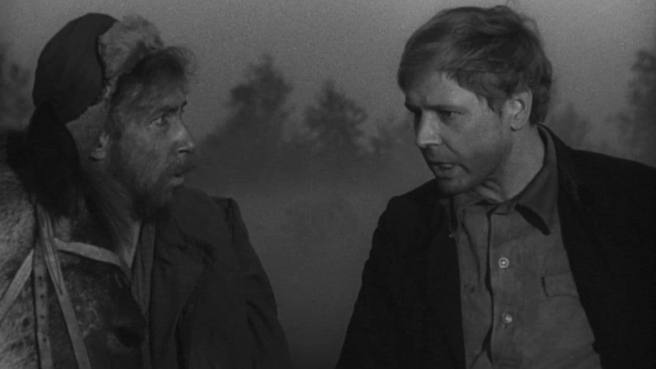 Backdrop – Волчья стая