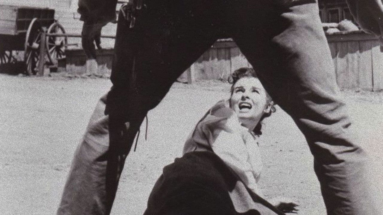 Backdrop – Lone Texan