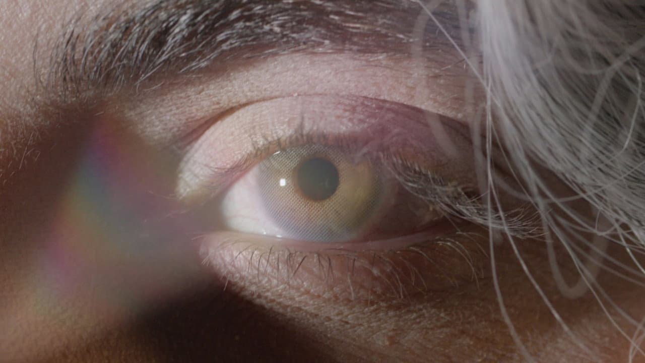 Backdrop – DIES MIRABILIS