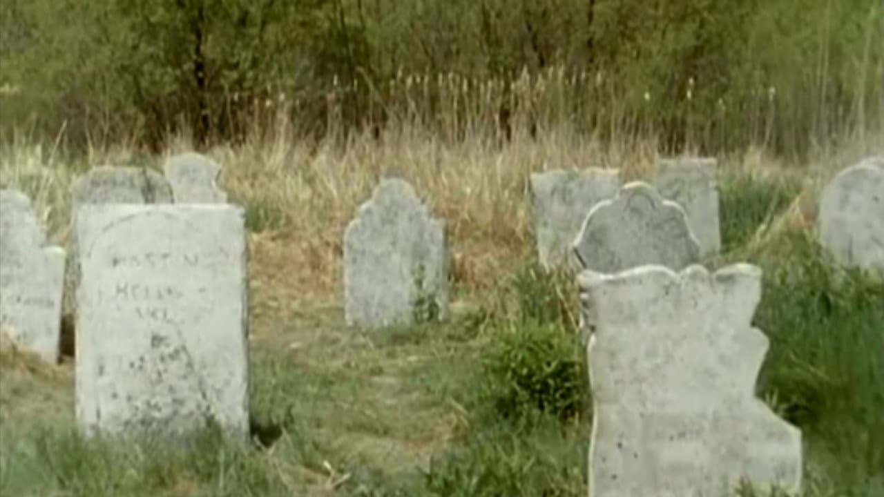 Backdrop – Goosebumps: Ghost Beach