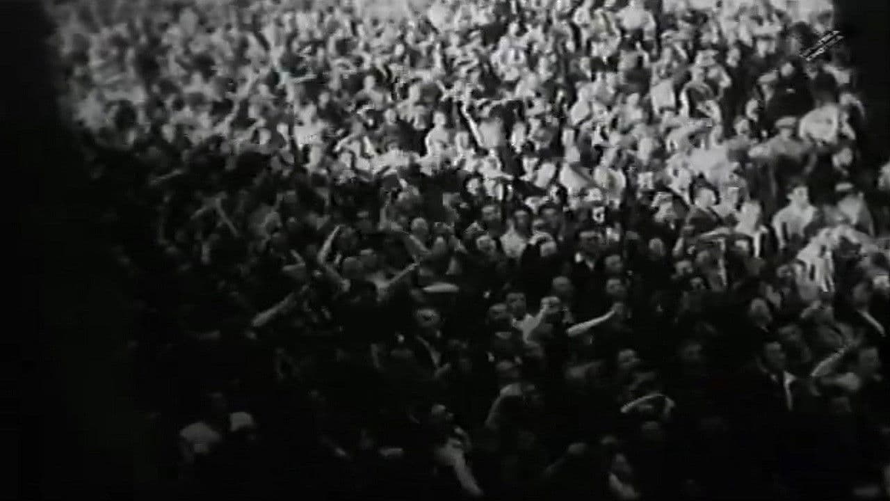 Backdrop – Istina o Puli