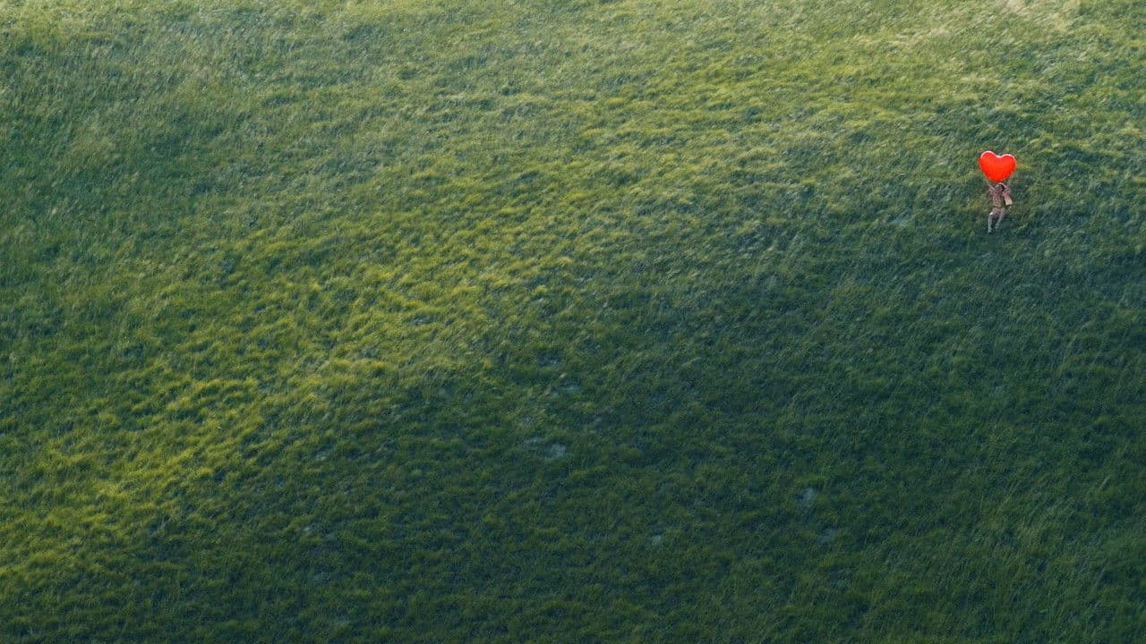 Backdrop – Срећан нам рођендан!