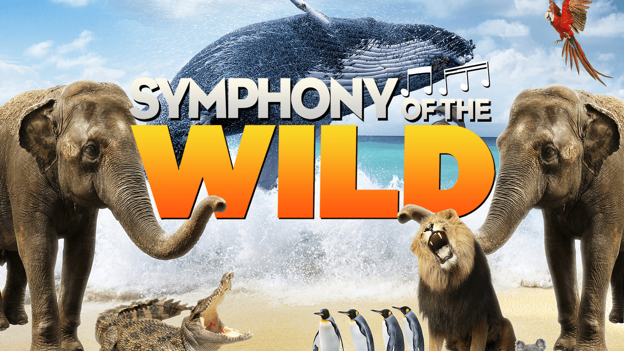 Backdrop – Symphonie der Tiere