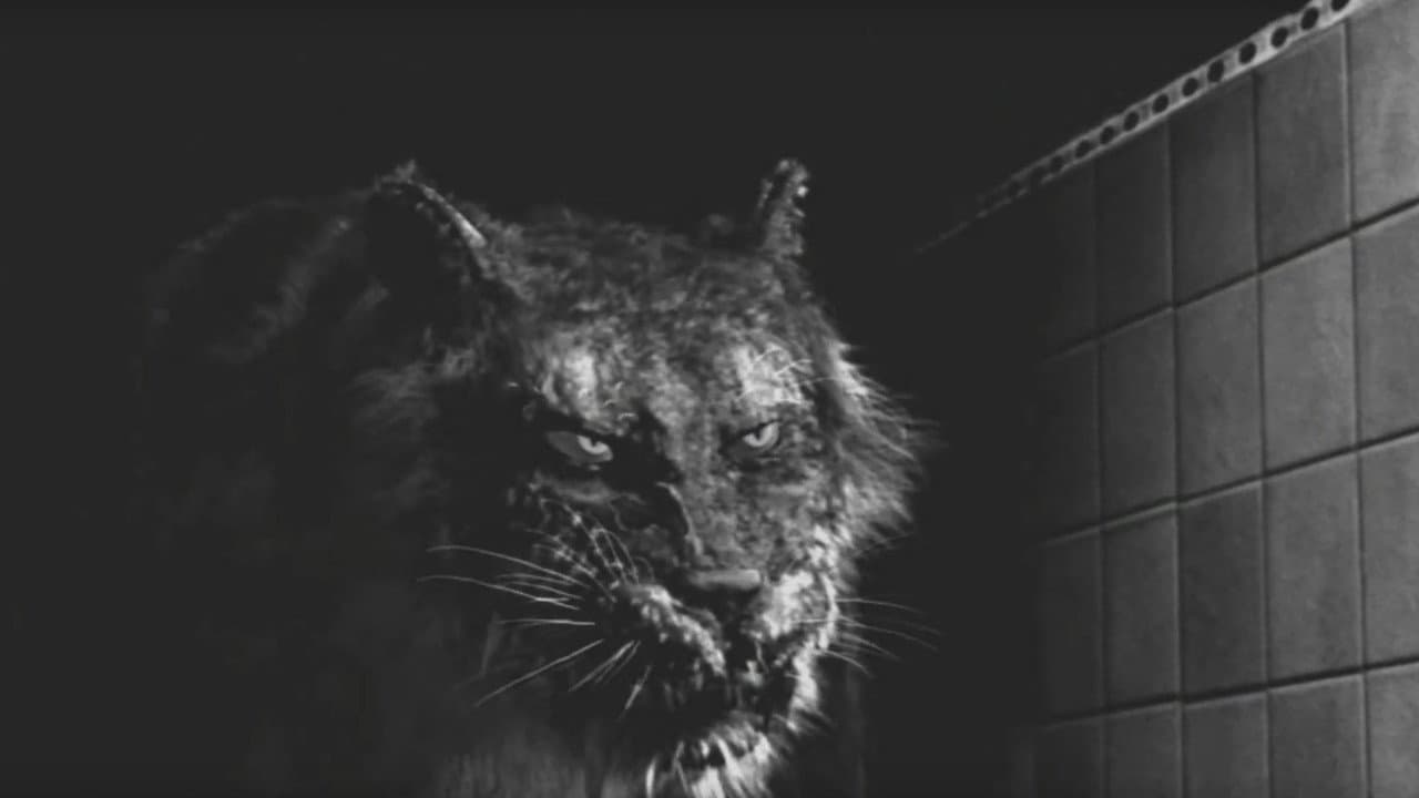 Backdrop – Tyger