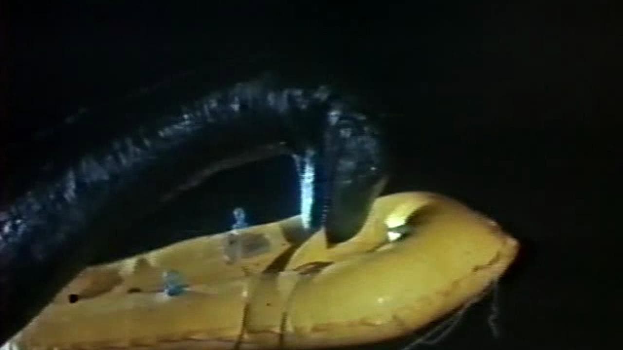 Backdrop – The Loch Ness Horror