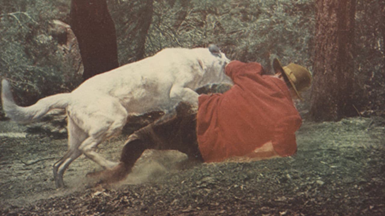 Backdrop – Yukon Gold