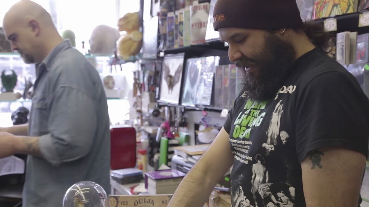 Backdrop – Chasing Rewind