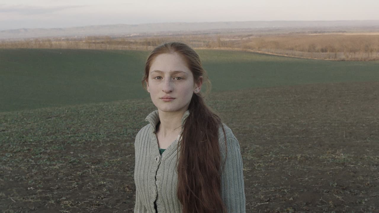 Backdrop – Клетка ищет птицу